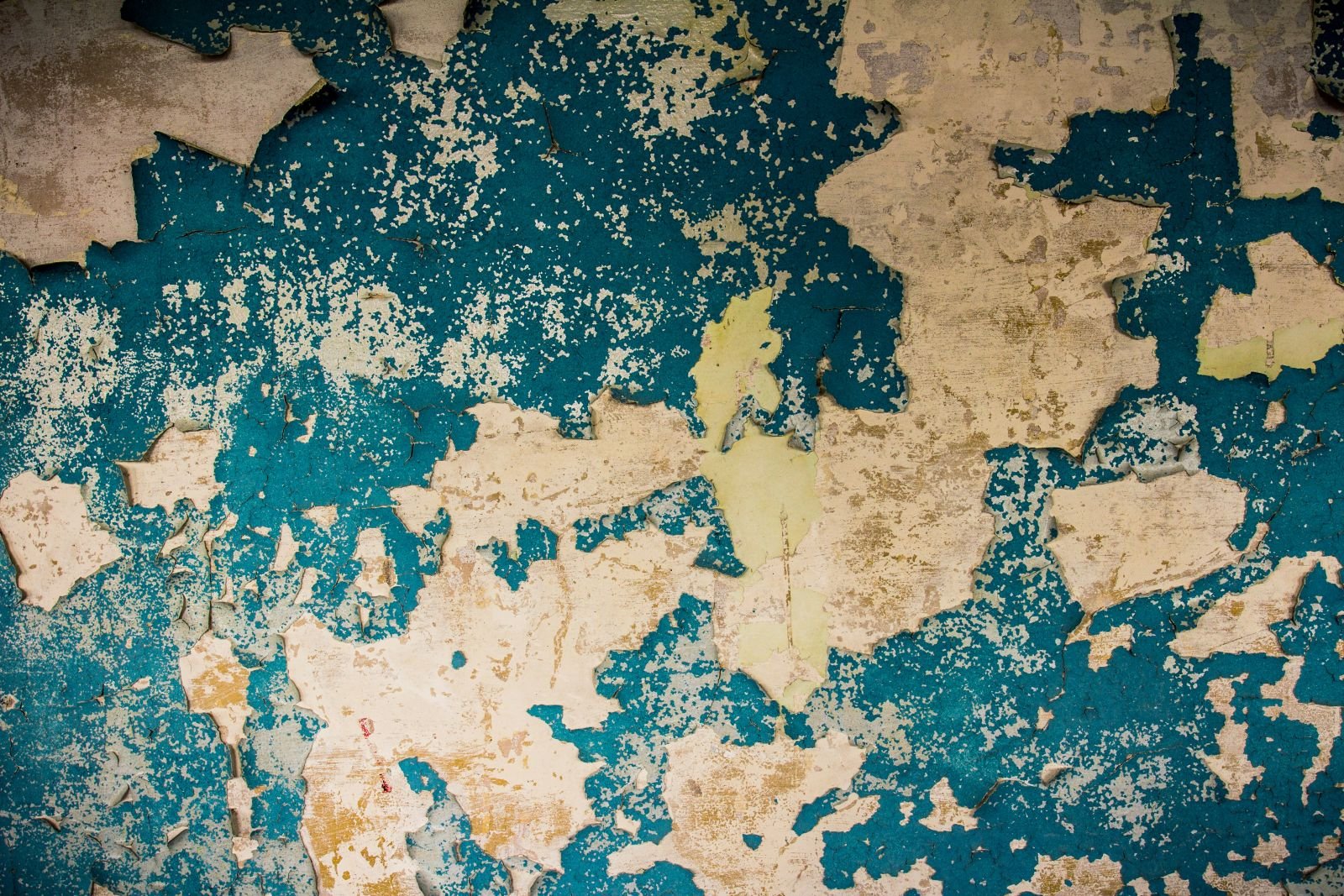 Mesure du plomb dans les peintures d'un logement ancien